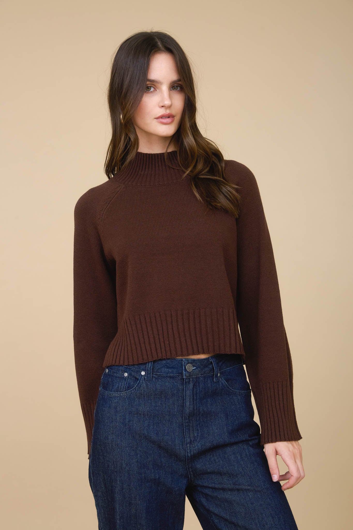 MOCK NECK LONG SLEEVE KNIT CROPPED PULLOVER