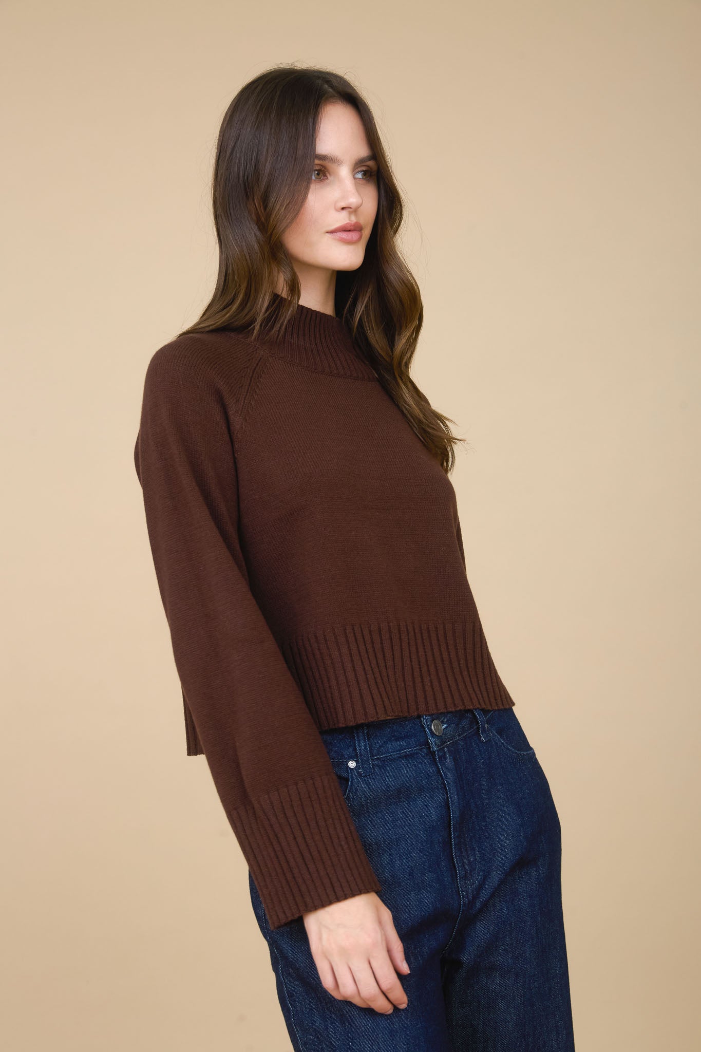 MOCK NECK LONG SLEEVE KNIT CROPPED PULLOVER