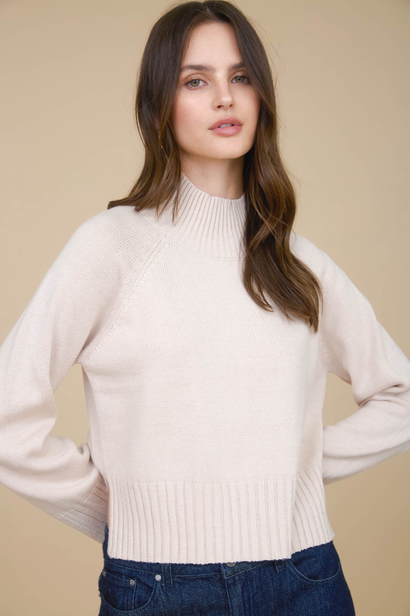 MOCK NECK LONG SLEEVE KNIT CROPPED PULLOVER