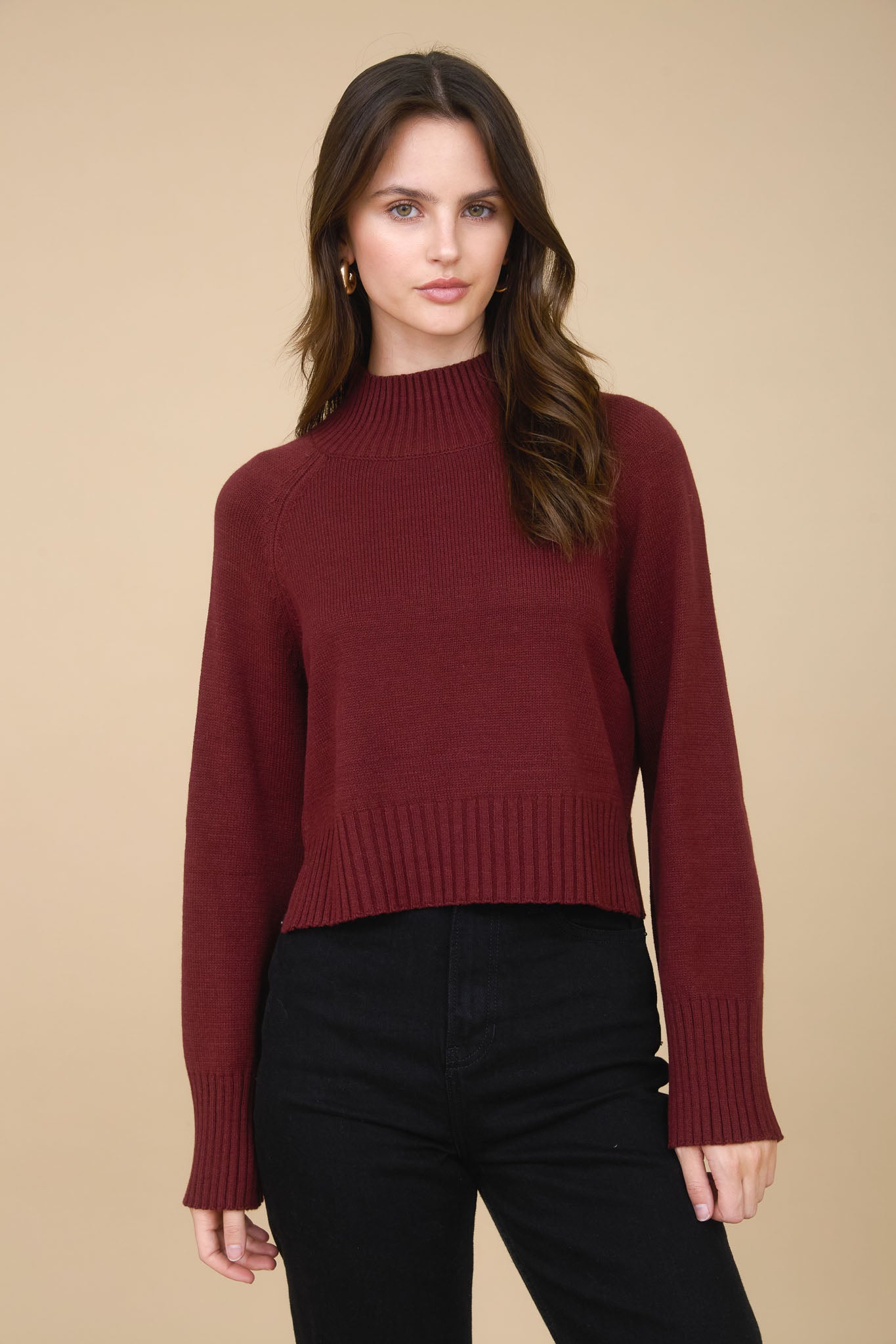 MOCK NECK LONG SLEEVE KNIT CROPPED PULLOVER